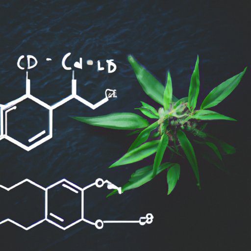 Exploring Sativa CBD: Does it Really Give You Energy?