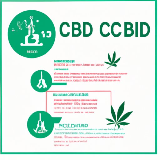 The Science Behind CBD: Understanding How Cannabidiol Works in the Human Body