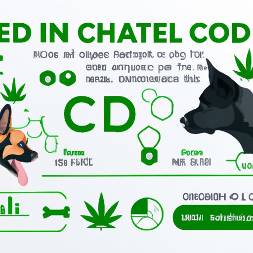 How Does CBD Affect Dogs: A Step-by-Step Guide to Using CBD Safely and Effectively