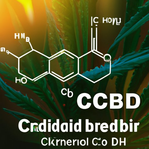 How Long Does CBD Stay in Your System: A Comprehensive Guide