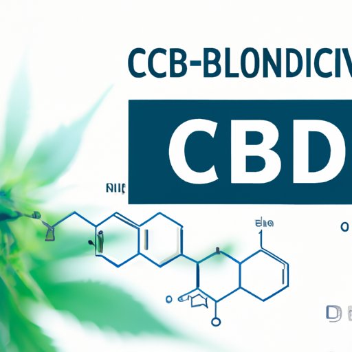 The Comprehensive Guide to How CBD Works in Our Bodies