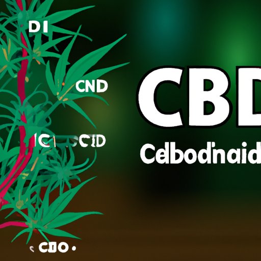 Understanding How CBD Works in the Body: A Comprehensive Guide