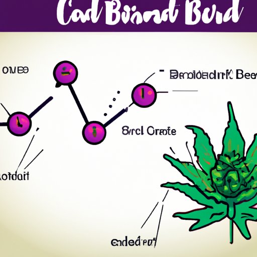 A Beginner’s Guide to Understanding CBD’s Effect on the Brain