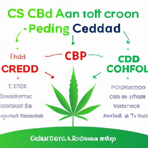 How Long Does CBD Effects Last: Understanding Duration and Maximizing Benefits