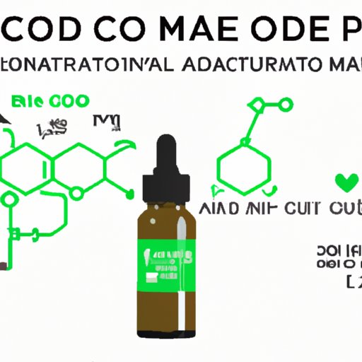 How Long Does CBD Last for Dogs: Factors Influencing Duration of Effects