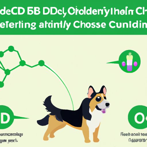 How Long Does CBD Last in Dogs’ Systems? Understanding Duration and Maximizing Benefits