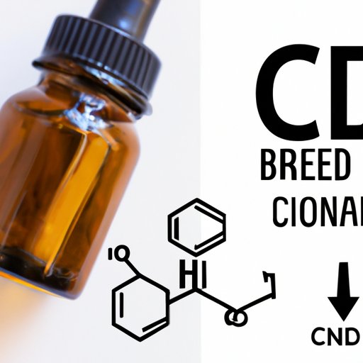 How Long Does CBD Last in Dogs: A Complete Guide