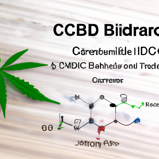How Long Does CBD Last in My System? A Beginner’s Guide