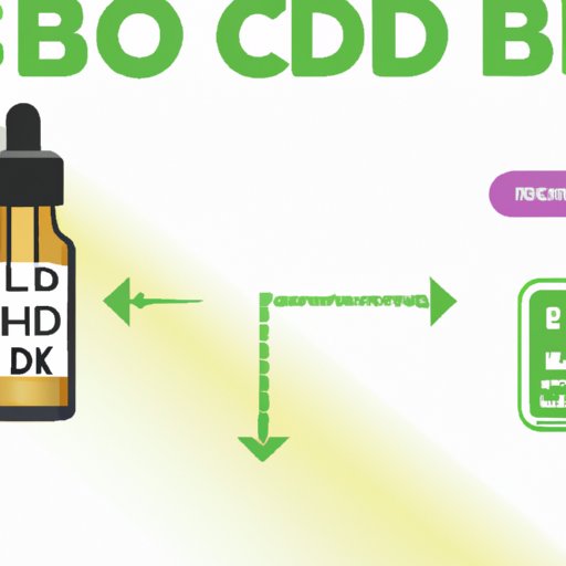 A Comprehensive Guide to How Long CBD Oil Stays in Your System