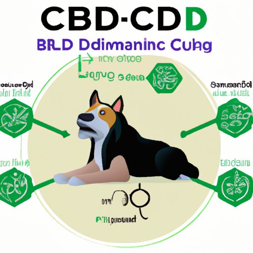 How Long Does it Take for CBD to Hit Dogs? Understanding the Timing of Its Effects