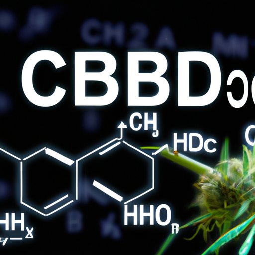 How Long Does the Effects of CBD Last: Personalized Experience and Science-backed Facts