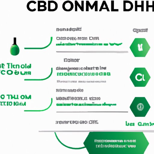 How Long for CBD Oil to Work: Realistic Timelines and Tips for Maximum Effectiveness