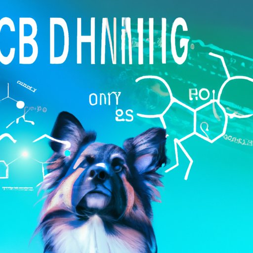 How Long for CBD to Take Effect in Dogs: A Complete Guide