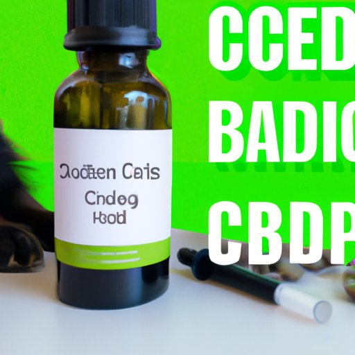 CBD for Dogs: Understanding How Long It Takes to Work and Alleviating Common Health Issues