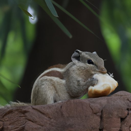The Miraculous World of Squirrels: How Many Babies Do They Have?