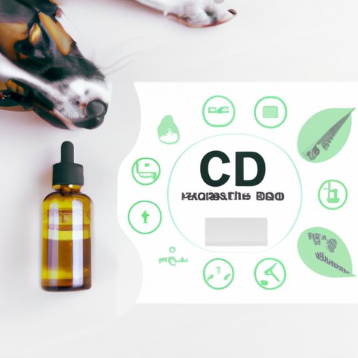 How Much CBD Should I Give My Dog? A Guide to Finding the Right Dosage