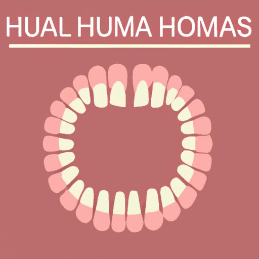 Discovering Your Smile: The Surprising Truth About How Many Teeth are in the Human Mouth | Dental Health