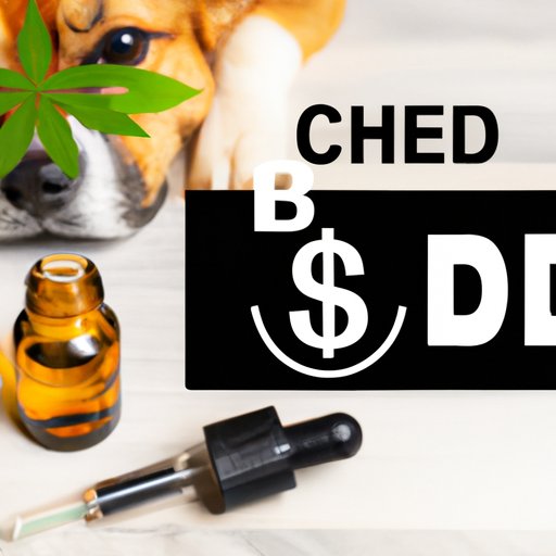 How Much CBD Can a Dog Have in 24 Hours? A Comprehensive Guide to Safe Dosage