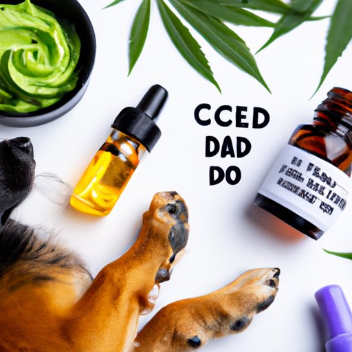 The Ultimate Guide to CBD Dosage for Dogs: How Much is Too Much?