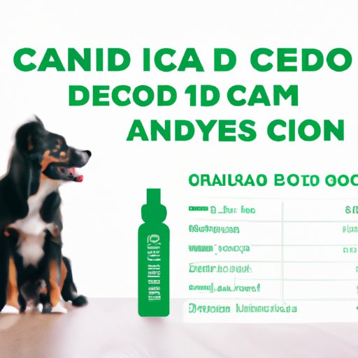 A Beginner’s Guide to CBD Dosage for Dogs: Understanding the Basics