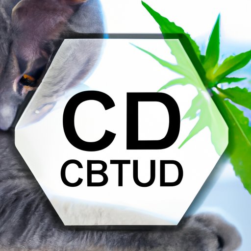 CBD for Cats: Finding the Right Dosage for Your Feline Companion