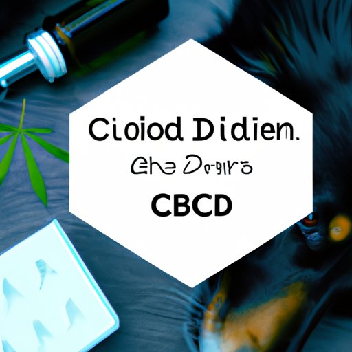 How Much CBD for Dogs with Arthritis: The Definitive Guide