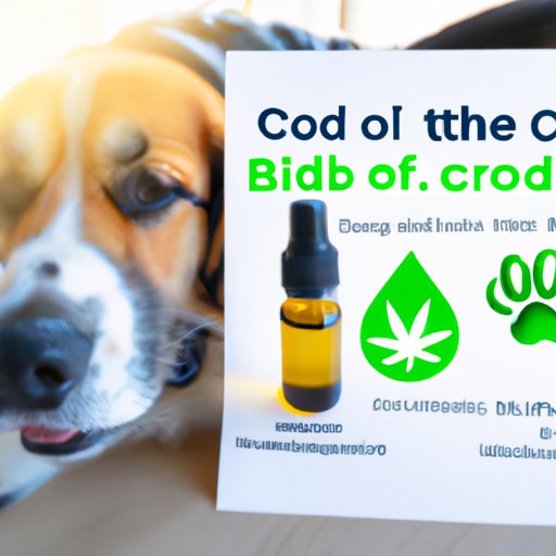 How Much CBD Oil Can I Give My Dog? A Comprehensive Guide for Dog Owners