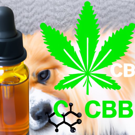 How Much CBD Oil Do I Give My Dog? A Comprehensive Guide to Finding the Right Dosage