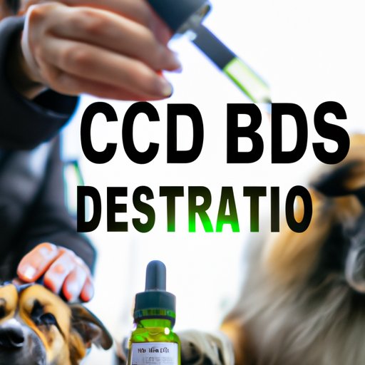How Much CBD Oil for Dog Aggression: A Comprehensive Guide