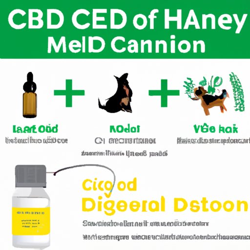 The Comprehensive Guide to CBD Oil Dosage for Dogs: Finding the Right Amount for Your Furry Friend