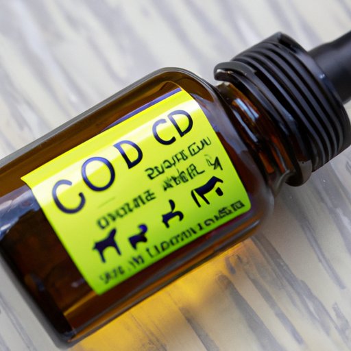 How Much CBD Oil Should I Give My Dog? A Beginner’s Guide to Dosage