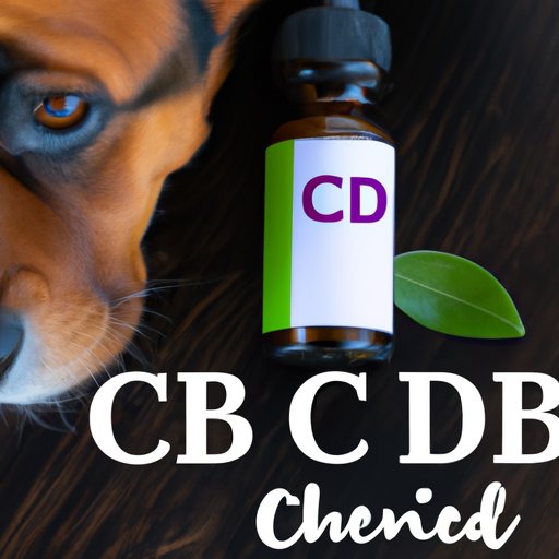 How Much CBD Oil to Give Your Dog: Finding the Perfect Dosage