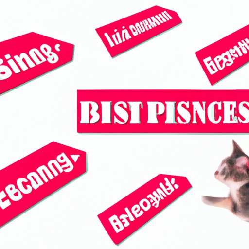 Understanding the Cost of Spaying Your Cat: A Comprehensive Guide