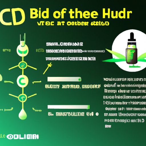 The Ultimate Guide: How Often Can You Take CBD Oil?