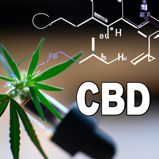 How Often Should You Take CBD Oil? A Comprehensive Guide