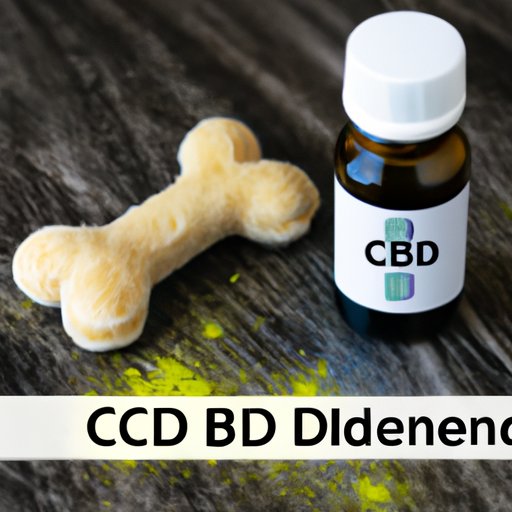 How Quickly Does CBD Work for Dogs and What to Expect?