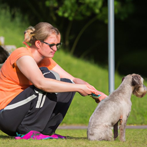 How to become a professional dog trainer: A step-by-step guide to starting your career in dog training