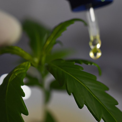 How to Extract CBD from Hemp: A Comprehensive Guide