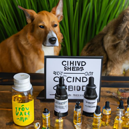 How to Give CBD Oil to Dogs: A Step-by-Step Guide