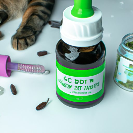 How to Give CBD to Cats: A Guide for Pet Owners