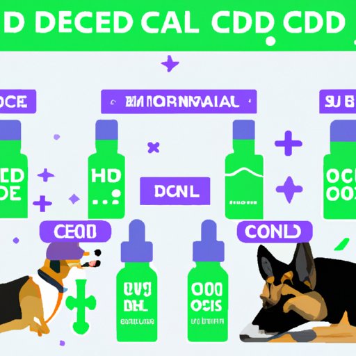 How to Give CBD Oil to Your Dog: A Step-by-Step Guide, Q&A, Personal Story, Research-Backed Article, and Expert Advice