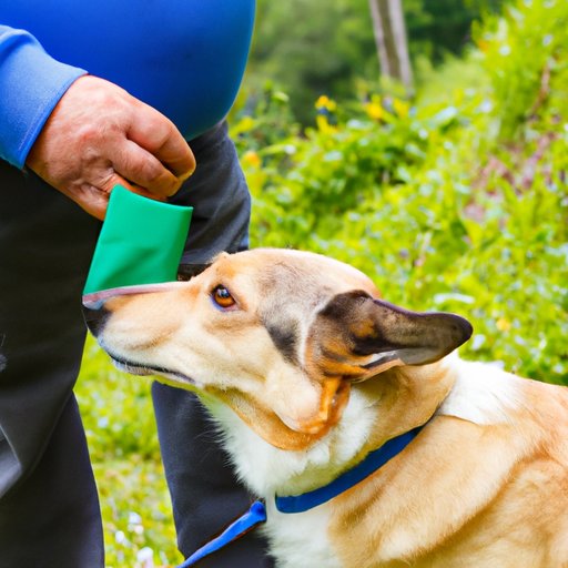 How to Remove Ticks From Dogs: A Comprehensive Guide for Pet Owners