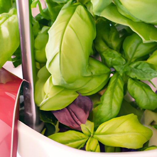 The Ultimate Guide to Storing Fresh Basil: Tips, Tricks, and Creative Ideas