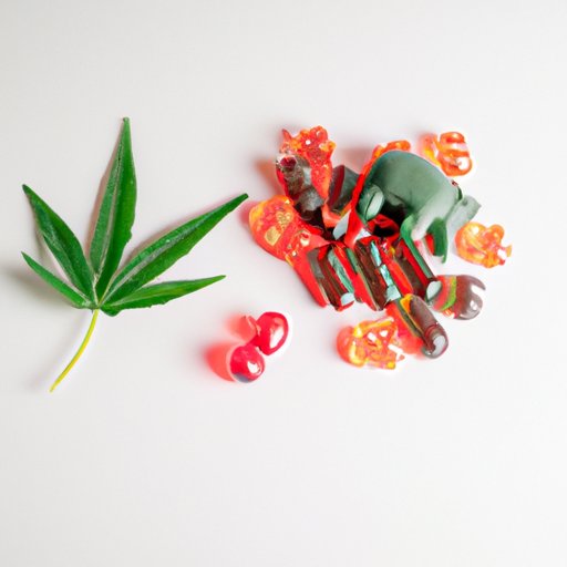 How to Take CBD Gummies for Anxiety: A Beginner’s Guide to Dosage, Effects, and Benefits
