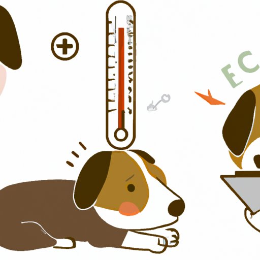 How to Tell If Your Dog Has a Fever: Symptoms, Causes, and Home Remedies