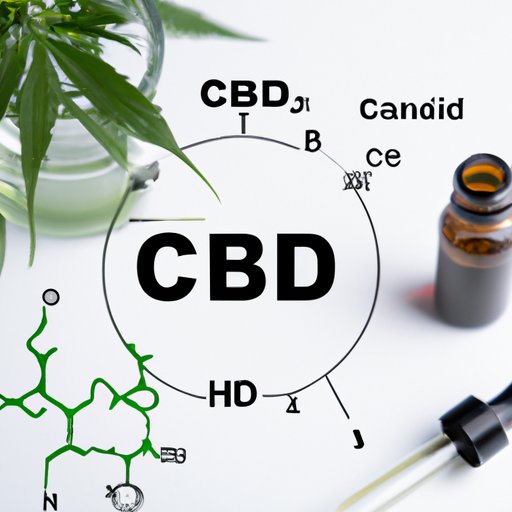 How Long Does CBD Stay in Your System: Exploring Factors that Impact Absorption and Elimination of CBD
