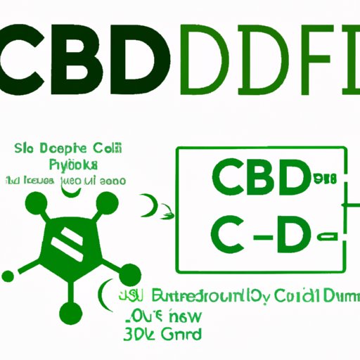 Is 25mg of CBD A Lot? Understanding The Science Behind The Dose.