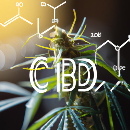 Is CBD a Good Stock to Buy? Pros and Cons of Investing in CBD Stocks