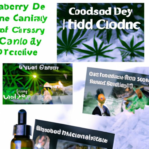 Is CBD a Scam? Exploring the Evidence and Industry Claims