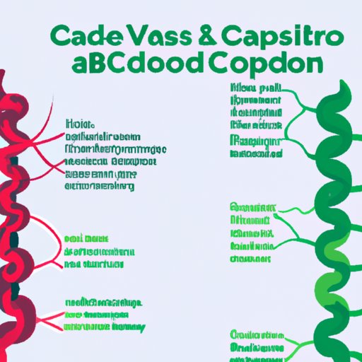 Is CBD a Vasodilator or Vasoconstrictor? Exploring the Impact of CBD on Blood Vessels
